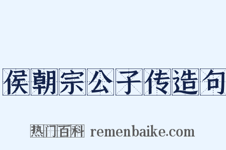 侯朝宗公子传造句是什么意思的图片